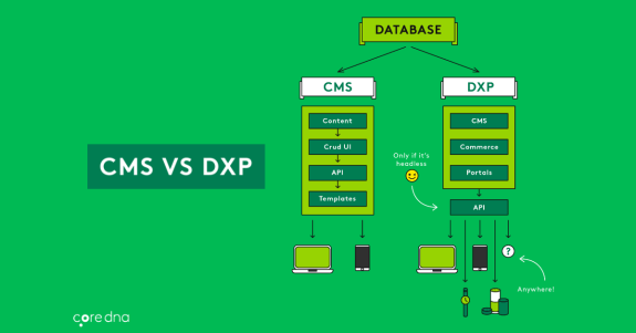 Comparison chart of CMS and DXP database structure on a green background.
