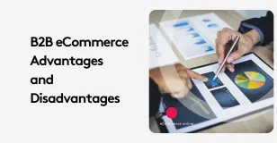B2B eCommerce advantages and disadvantages analysis with charts and graphs.