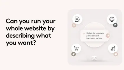 Text reads 'Can you run your whole website by describing what you want?' with infographic on website updates.