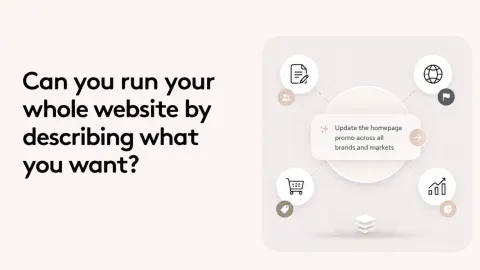 Text reads 'Can you run your whole website by describing what you want?' with infographic on website updates.