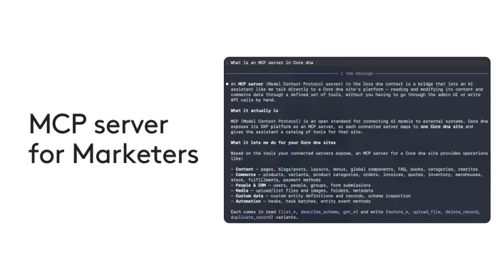 Why we built an MCP server for Marketers not Developers
