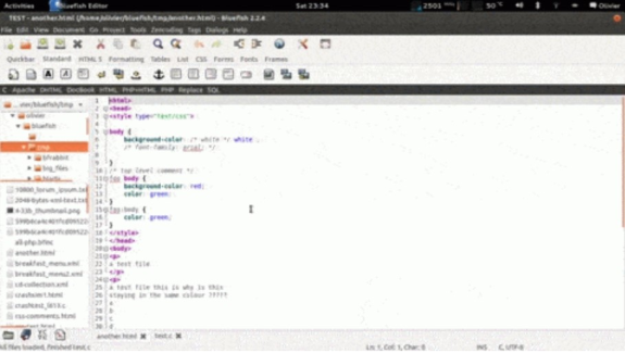 Screenshot of Bluefish editor with HTML and CSS code on Ubuntu interface.