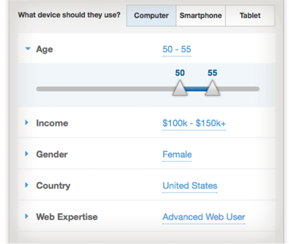 Demographic profile showing age, income, gender, country, and web expertise.