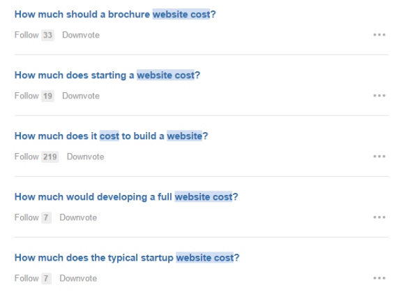 Discussion forum showing questions about website cost and development.