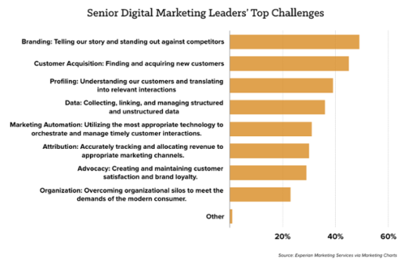 Bar chart showing senior digital marketing leaders' top challenges including branding and customer acquisition.