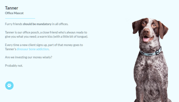 Office dog mascot Tanner with description about his role and personality.