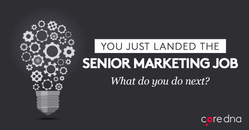 Illustration of a lightbulb made of gears with text about landing a senior marketing job.