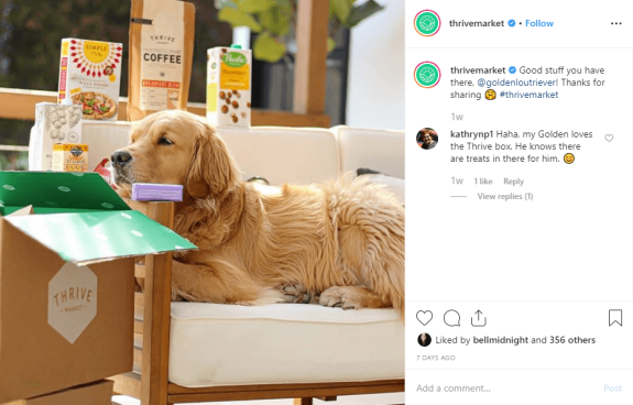 Golden retriever lying on a couch next to an open Thrive Market box with snacks.