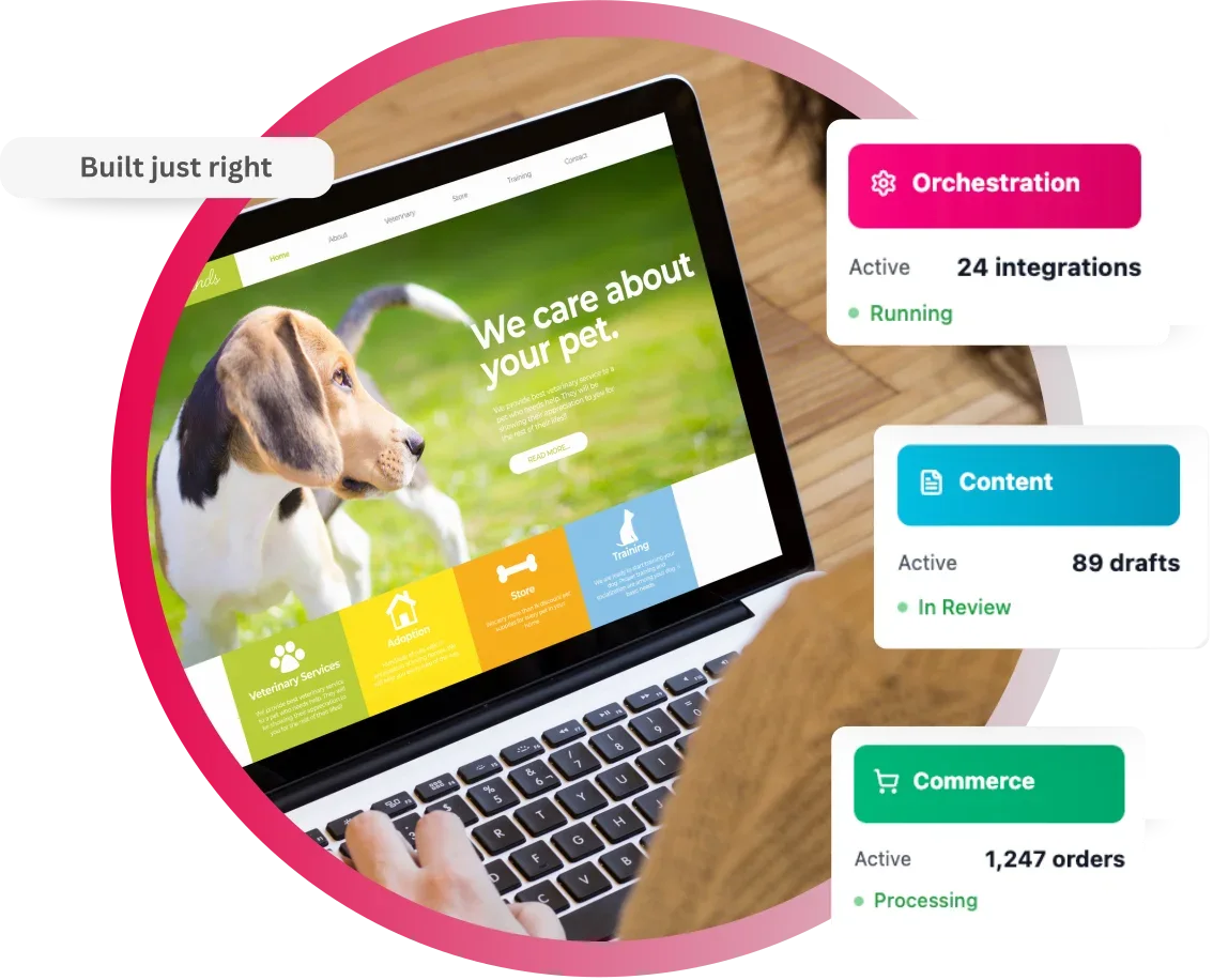 Laptop displaying pet care website with integration and order stats on screen
